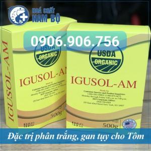 IGUSOL-AM - Phòng ngừa và điều trị hiệu quả BỆNH PHÂN TRẮNG cho Tôm