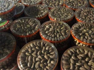 Điều rang muối đặc sản Bình phước loại A