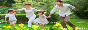 Sữa Bột Hồng Sâm Ngọc Linh