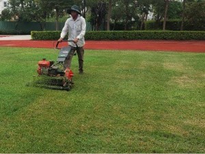 Máy cắt cỏ sân vườn đẩy tay máy mini