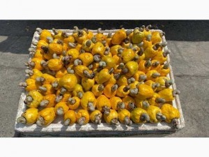 Điều rang muối Bình phước loại 320