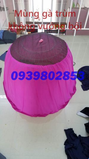 Mùng gà trơn tuột không vướng bội khi trùm