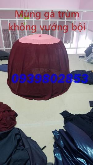 Mùng gà trơn tuột không vướng bội khi trùm