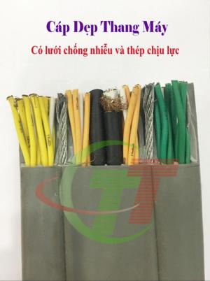 Cáp âm thanh