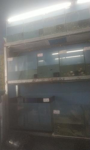 Bán lại hồ cá kiểng
