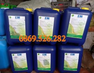 Chế phẩm vi sinh EM gốc chất lượng cao