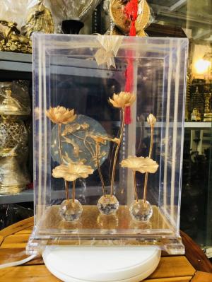 Mô hình hoa sen mạ vàng 24k,quà tặng sang trọng
