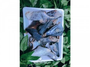 Đầu Cá Thu