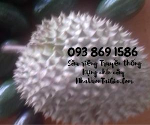 Mua sầu riêng rụng chín cây trong ngày ngon TPHCM Vườn Nhà Dậu - gọi 093 869 1586