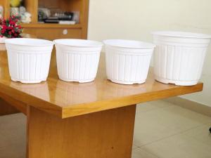 Cung cấp chậu hoa