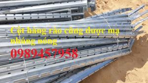 Lưới thép hàng rào mạ kẽm nhúng nóng, Lưới Mạ kẽm nhúng nóng D6 ô 100x100