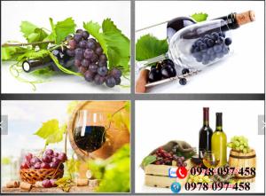 Tranh gạch men 3D trang trí phòng bếp