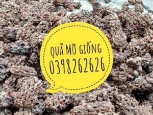 Bán hạt giống cây mỡ