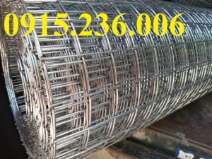 Lưới thép hàn mạ kẽm D1, D2, D3 a25x25, a50x50 giá tốt nhất thị trường
