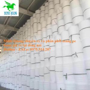 Mút xốp pe foam