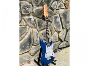 Bán Đàn Guitar Điện Phím Lõm Biên Hoà, Guitar Điện Tân Cổ Nhạc Biên Hoà
