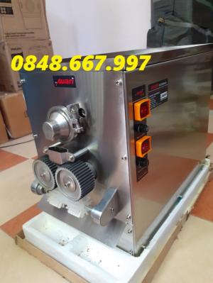 Máy vo viên thuốc đông y tự động AW95
