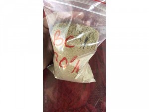 Bột cá biển