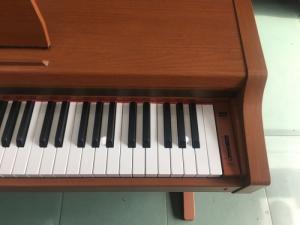 Piano điện kawai PN-2C