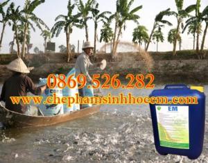 Chế phẩm sinh học EM ứng dụng trong nuôi trồng thủy sản
