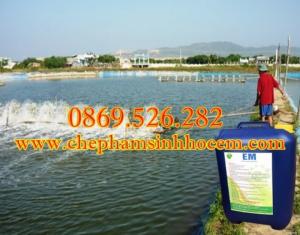 Chế phẩm sinh học EM ứng dụng trong nuôi trồng thủy sản