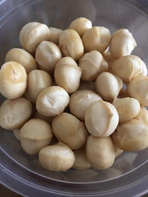 Nguyên Bảo Hạt Mắc Ca DakLak