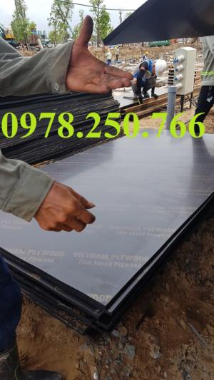 cốp pha phủ phim Bình dương