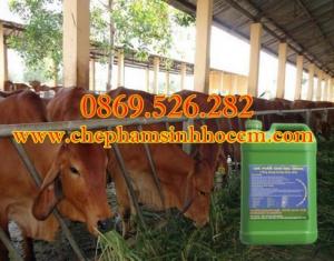 Chế phẩm sinh học EMINA, EMINA gốc, EMINA thứ cấp