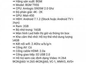 BOX BGM T95S