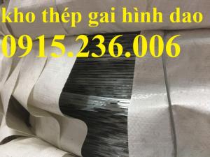 Nơi mua thép gai hình dao, hàng rào thép gai hình dao vòng 35, 45, 60, 80, 90
