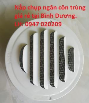 Nắp thông hơi