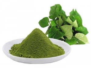 BỘT LÁ DIẾP CÁ