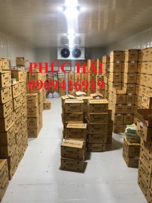 Chuyên cung cấp và lắp đặt hệ thống kho lạnh bảo quản thực phẩm gá tốt