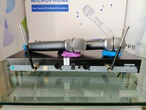 Micro không dây BBS E-250GS