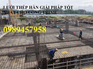 Lưới thép hàn phi 12 ô 200x200, 250x250, A12 a 200x200 Lưới thép hàn chập D12