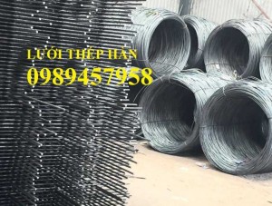 Sản xuất lưới thép Phi 10 ô 100x100, 100x200, 200x200, 250x250 - A10, D10, E10 giá rẻ