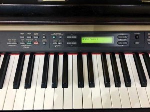 Piano điện clp-170