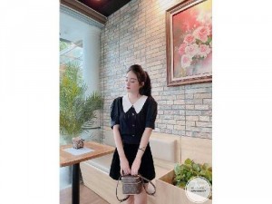 Áo nữ len cổ sen nổi có 4 màu SC
