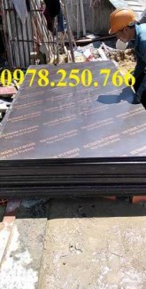 Ván ép phủ phim, ván ép phủ keo, cốp pha các loại tại Bình Phước