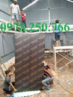 Ván ép phủ phim, ván ép phủ keo, cốp pha các loại tại Bình Phước