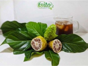 NƯỚC CỐT NHÀU NONI ISITO (100ml/lọ)