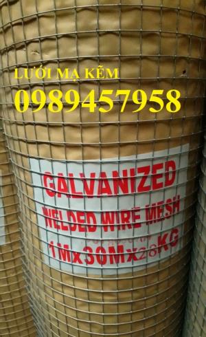 Lưới mạ kẽm dây 0,5ly ô 5x5, dây 1ly ô 10x10, 15x15, 20x20, dây 2ly 25x25