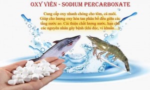 Oxy viên - sodium percarbonate
