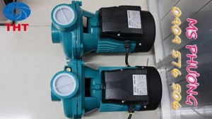Bán máy bơm tưới tiêu Maro giá rẻ nhất TPHCM