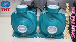 Bán máy bơm tưới tiêu Maro giá rẻ nhất TPHCM