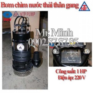 Máy Bơm Chìm Nước Thải Thân Gang - Bơm Thoát Nước Ngập - Bơm Bùn Loãng - NTP PUMP - Giá Cực Tốt