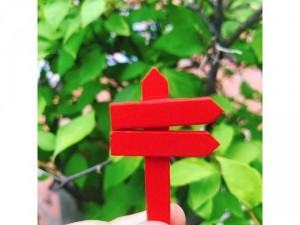 Phụ kiện tiểu cảnh sen đá xương rồng biển báo chi hướng