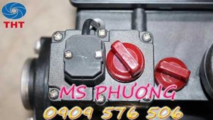 Bán máy bơm tăng áp điện tử NTP dòng EQA giá rẻ