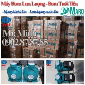 Máy Bơm Lưu Lượng - Bơm Tưới Tiêu - MARO Pump - Giá Cực Tốt