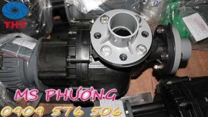 Bán máy bơm hóa chất NTP UVP/USP giá rẻ